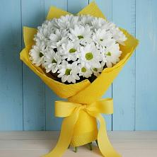 Букет цветов из:  Хризантемы в Стройкерамика