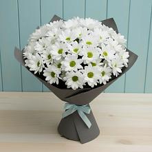 Букет цветов из:  Хризантемы в Стройкерамика