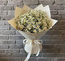 Букет цветов из:  Ромашки #REPLACE_PRED# Стройкерамика