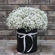 Цветочная композиция из Гипсофила в шляпной коробке #REPLACE_PRED# Стройкерамика