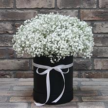 Цветочная композиция из Гипсофила в шляпной коробке в Стройкерамика