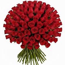 Букет Красные розы Чери Лав #REPLACE_PRED# Стройкерамика