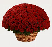 Премиум букет из: Розы в Стройкерамика