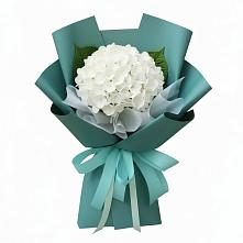 Букет цветов из:  Гортензия #REPLACE_PRED# Стройкерамика